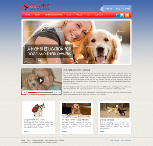 Web site designing and Opencart theme development